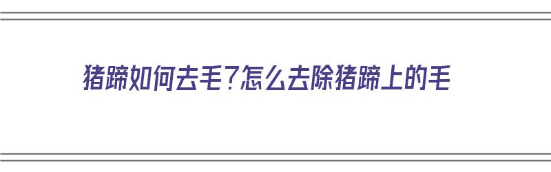 猪蹄如何去毛？怎么去除猪蹄上的毛（猪蹄如何去毛?怎么去除猪蹄上的毛呢）