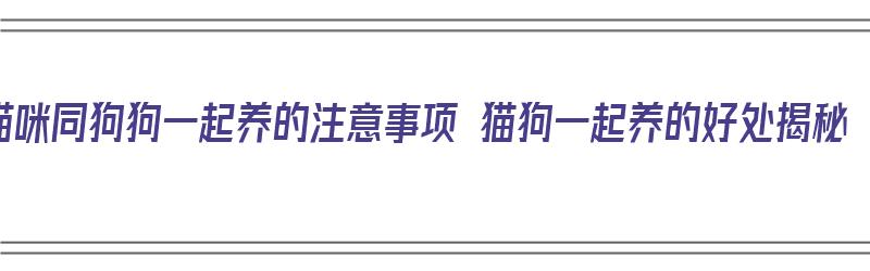 猫咪同狗狗一起养的注意事项 猫狗一起养的好处揭秘