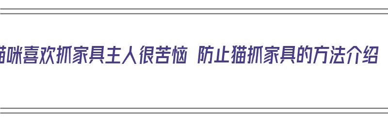 猫咪喜欢抓家具主人很苦恼 防止猫抓家具的方法介绍（猫喜欢抓家具怎么办）