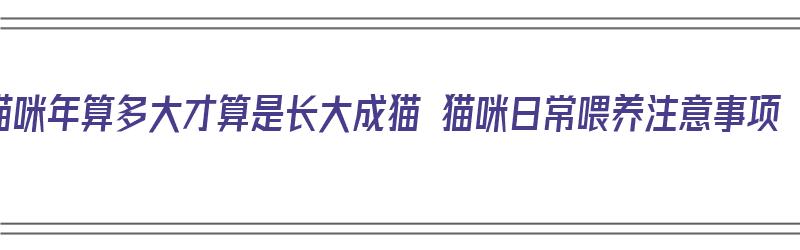 猫咪年算多大才算是长大成猫 猫咪日常喂养注意事项（猫咪年龄）