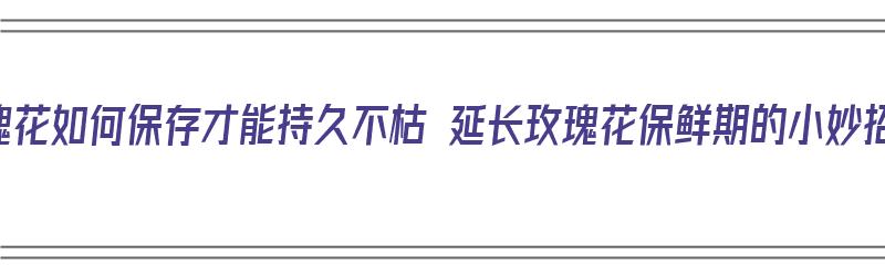 玫瑰花如何保存才能持久不枯 延长玫瑰花保鲜期的小妙招（玫瑰花怎么保存更长的时间）