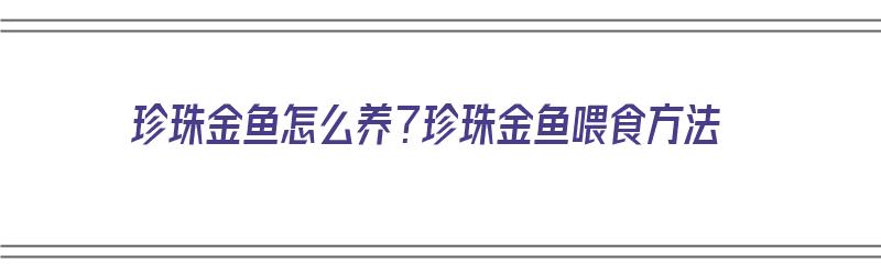 珍珠金鱼怎么养？珍珠金鱼喂食方法（珍珠金鱼饲养技巧）