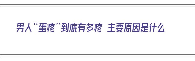 男人“蛋疼”到底有多疼 主要原因是什么（男人蛋疼有多疼?）