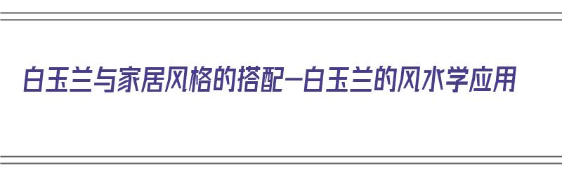 白玉兰与家居风格的搭配-白玉兰的风水学应用（白玉兰的风水禁忌）