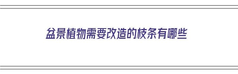 盆景植物需要改造的枝条有哪些（盆景植物需要改造的枝条有哪些品种）