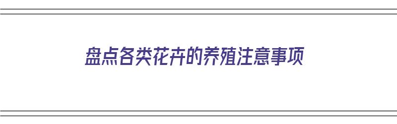 盘点各类花卉的养殖注意事项（盘点各类花卉的养殖注意事项有哪些）