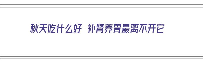 秋天吃什么好 补肾养胃最离不开它（秋天吃什么好 补肾养胃最离不开它的食物）