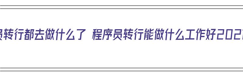 程序员转行都去做什么了 程序员转行能做什么工作好2021（程序员转行能干什么）