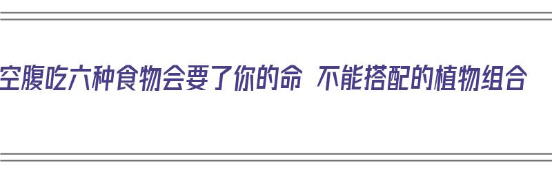 空腹吃六种食物会要了你的命 不能搭配的植物组合（空腹能不能和什么一起吃）