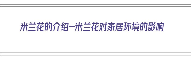 米兰花的介绍-米兰花对家居环境的影响（米兰花对人有影响）