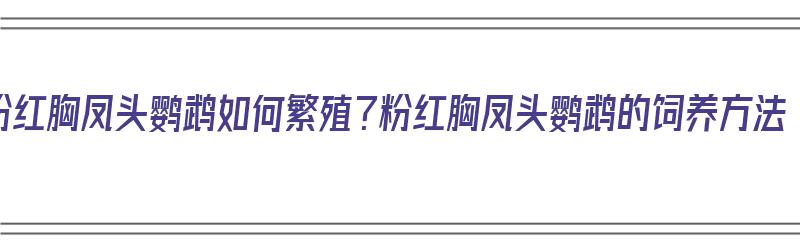 粉红胸凤头鹦鹉如何繁殖？粉红胸凤头鹦鹉的饲养方法（粉红凤头鹦鹉可以养吗）