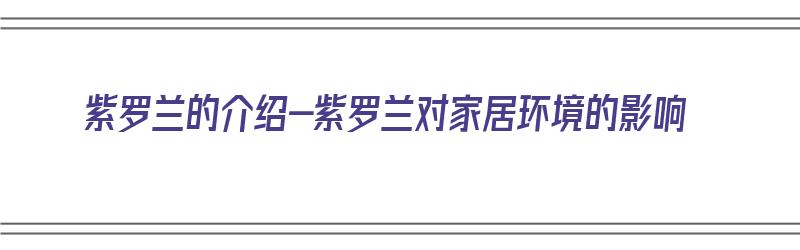 紫罗兰的介绍-紫罗兰对家居环境的影响（紫罗兰的缺点）