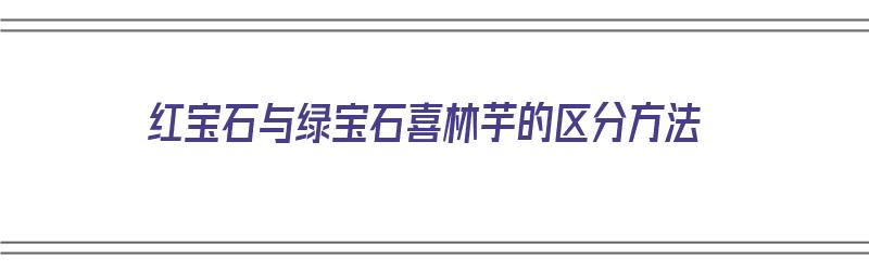 红宝石与绿宝石喜林芋的区分方法（绿宝石喜林芋和红宝石喜林芋的区别）