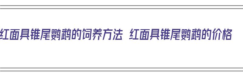 红面具锥尾鹦鹉的饲养方法 红面具锥尾鹦鹉的价格