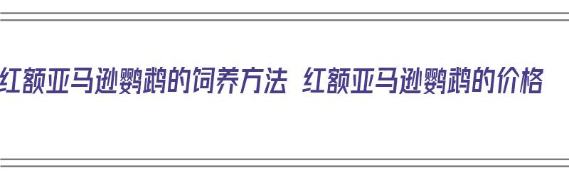 红额亚马逊鹦鹉的饲养方法 红额亚马逊鹦鹉的价格