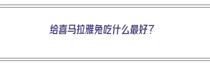 给喜马拉雅兔吃什么最好？（喜马拉雅兔喜欢吃什么）