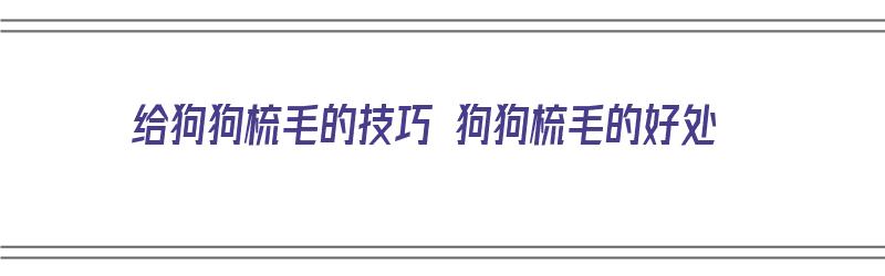 给狗狗梳毛的技巧 狗狗梳毛的好处（给狗梳毛怎么梳）