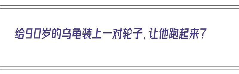 给90岁的乌龟装上一对轮子，让他跑起来？（给90岁的乌龟装上一对轮子,让他跑起来了）