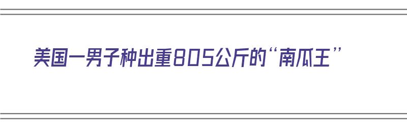 美国一男子种出重805公斤的“南瓜王”（美国巨型南瓜种植技术视频）