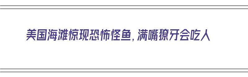 美国海滩惊现恐怖怪鱼，满嘴獠牙会吃人（美国海滩出现怪兽鱼）