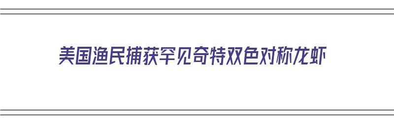 美国渔民捕获罕见奇特双色对称龙虾（美国渔民捕获罕见奇特双色对称龙虾的原因）