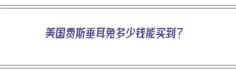 美国费斯垂耳兔多少钱能买到？（美国费斯垂耳兔多少钱能买到呢）