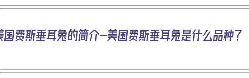 美国费斯垂耳兔的简介-美国费斯垂耳兔是什么品种？（美国费斯垂耳兔多少钱）