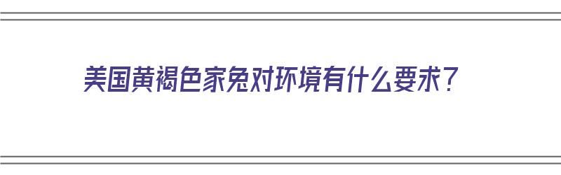 美国黄褐色家兔对环境有什么要求？（美国黄褐色家兔对环境有什么要求吗）