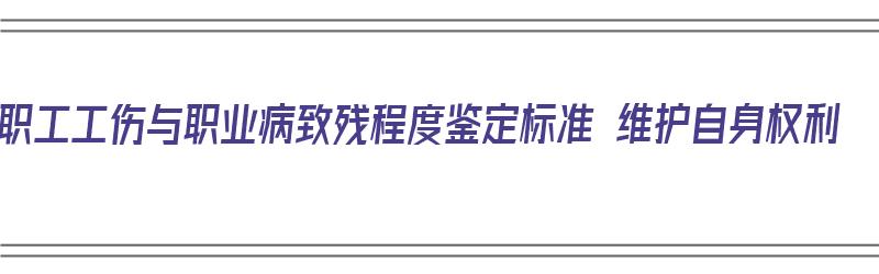 职工工伤与职业病致残程度鉴定标准 维护自身权利（《职工工伤与职业病致残程度鉴定》）