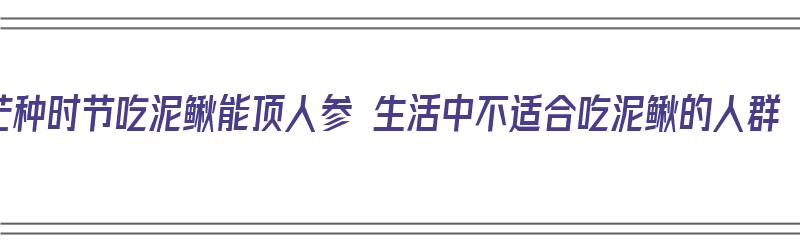 芒种时节吃泥鳅能顶人参 生活中不适合吃泥鳅的人群（泥鳅人吃了有什么好处）