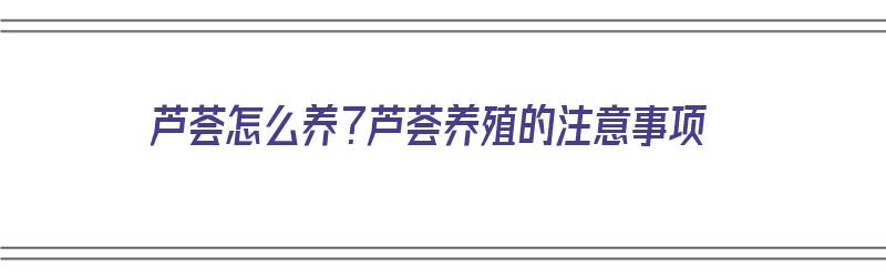 芦荟怎么养？芦荟养殖的注意事项（芦荟怎么养?芦荟养殖的注意事项有哪些）