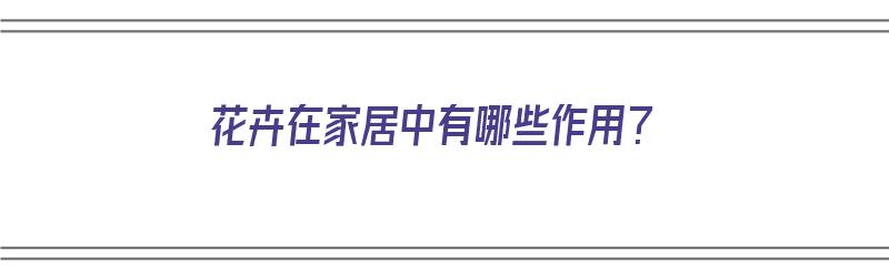 花卉在家居中有哪些作用？（花卉在家居中有哪些作用）