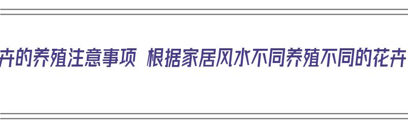 花卉的养殖注意事项 根据家居风水不同养殖不同的花卉