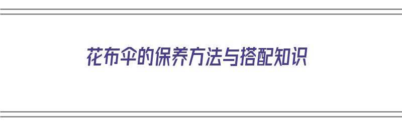 花布伞的保养方法与搭配知识（花布伞的保养方法与搭配知识讲解）