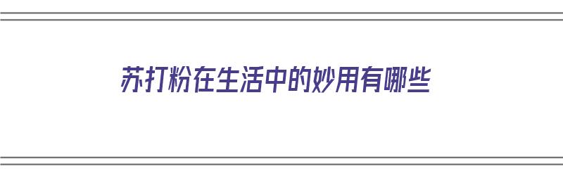 苏打粉在生活中的妙用有哪些（苏打粉在生活中的妙用有哪些呢）