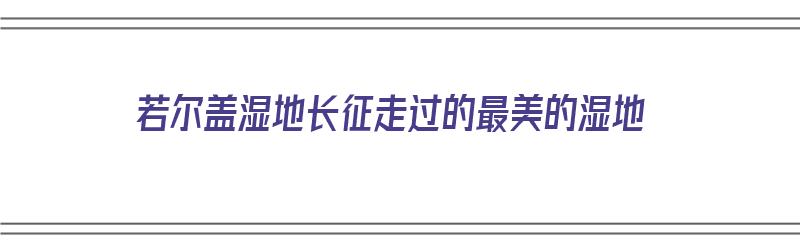 若尔盖湿地长征走过的最美的湿地（若尔盖湿地自然保护区）