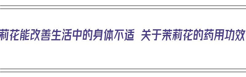 茉莉花能改善生活中的身体不适 关于茉莉花的药用功效（茉莉花有啥效果）