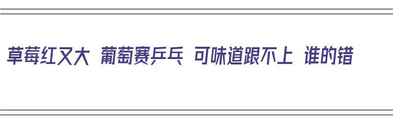 草莓红又大 葡萄赛乒乓 可味道跟不上 谁的错（草莓红红）