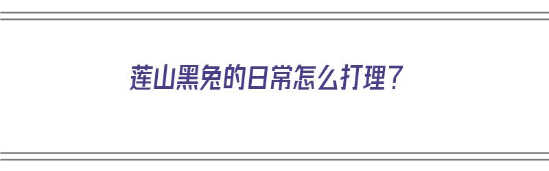 莲山黑兔的日常怎么打理？（莲山黑兔种兔出售）