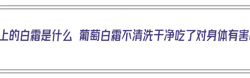 葡萄上的白霜是什么 葡萄白霜不清洗干净吃了对身体有害吗（葡萄上的白霜对身体有危害吗）