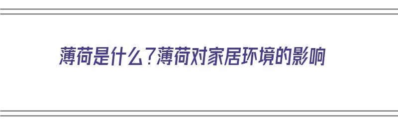 薄荷是什么？薄荷对家居环境的影响（薄荷是什么?薄荷对家居环境的影响有哪些）