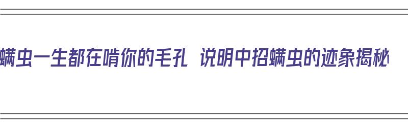 螨虫一生都在啃你的毛孔 说明中招螨虫的迹象揭秘（螨虫啃食皮肤）