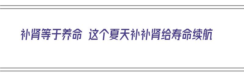 补肾等于养命 这个夏天补补肾给寿命续航（夏季补肾）