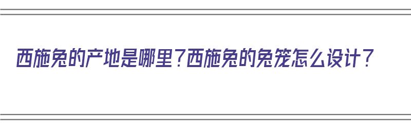 西施兔的产地是哪里？西施兔的兔笼怎么设计？（西施兔是什么品种）