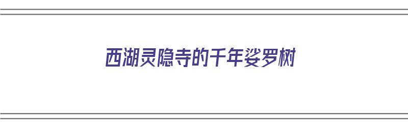 西湖灵隐寺的千年娑罗树（西湖灵隐寺的千年娑罗树是什么树）