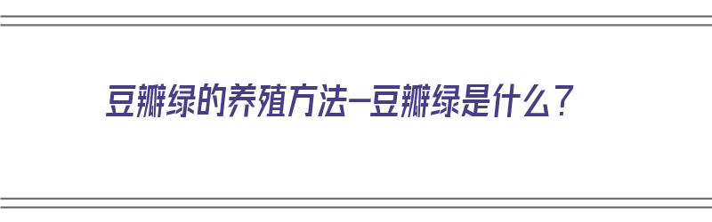 豆瓣绿的养殖方法-豆瓣绿是什么？（豆瓣绿的养殖方法和注意事项有哪些）