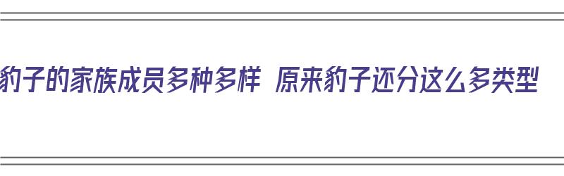 豹子的家族成员多种多样 原来豹子还分这么多类型（豹子的家庭）