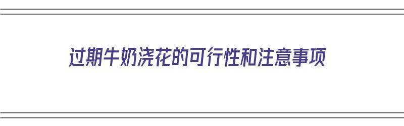 过期牛奶浇花的可行性和注意事项（过期牛奶浇花的可行性和注意事项有哪些）