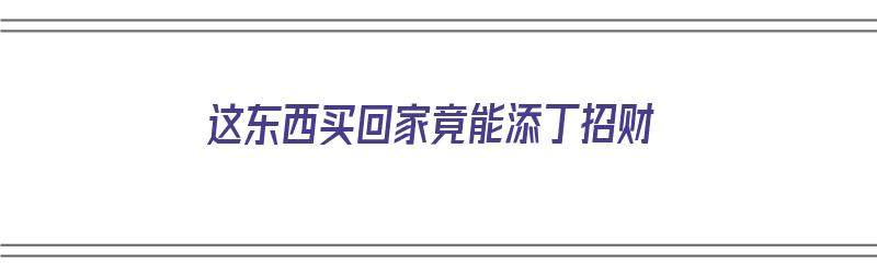 这东西买回家竟能添丁招财（买什么东西放家里招财）