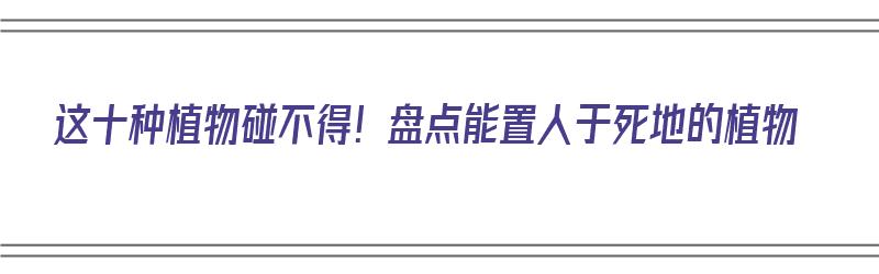 这十种植物碰不得！盘点能置人于死地的植物（这十种植物碰不得!盘点能置人于死地的植物有哪些）